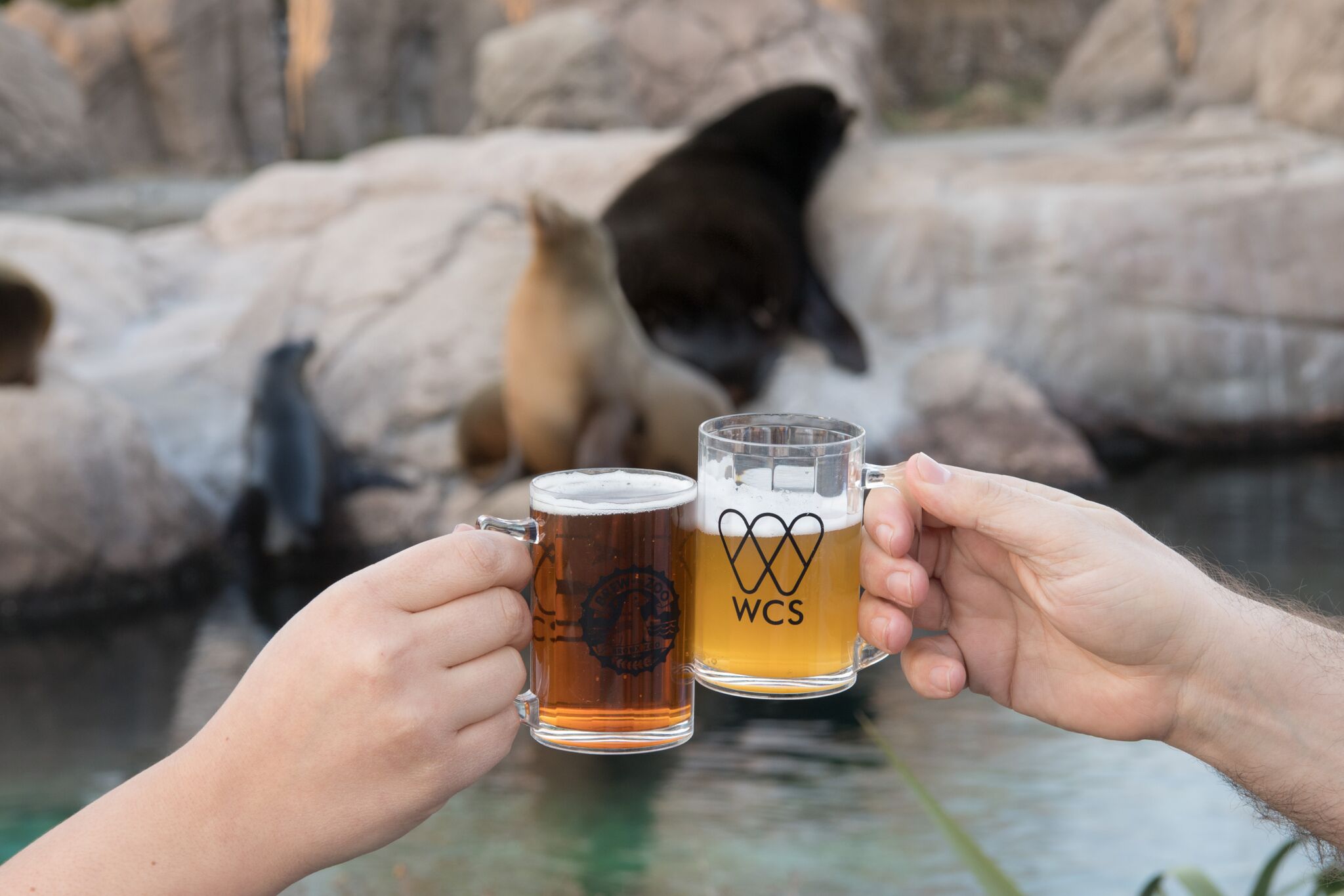 Brew at the Zoo at the Bronx Zoo for Adults