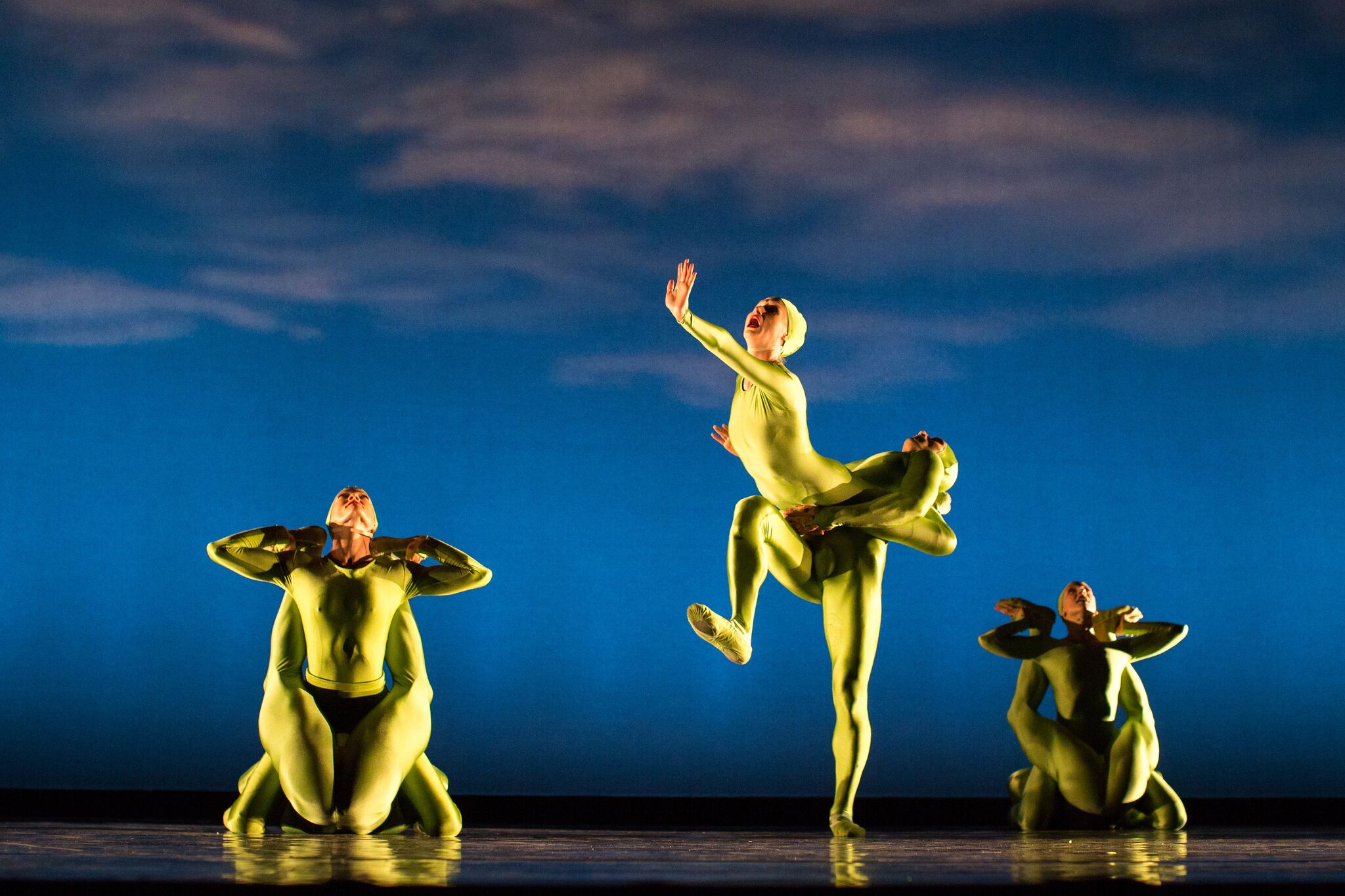 momix dance opus cactus