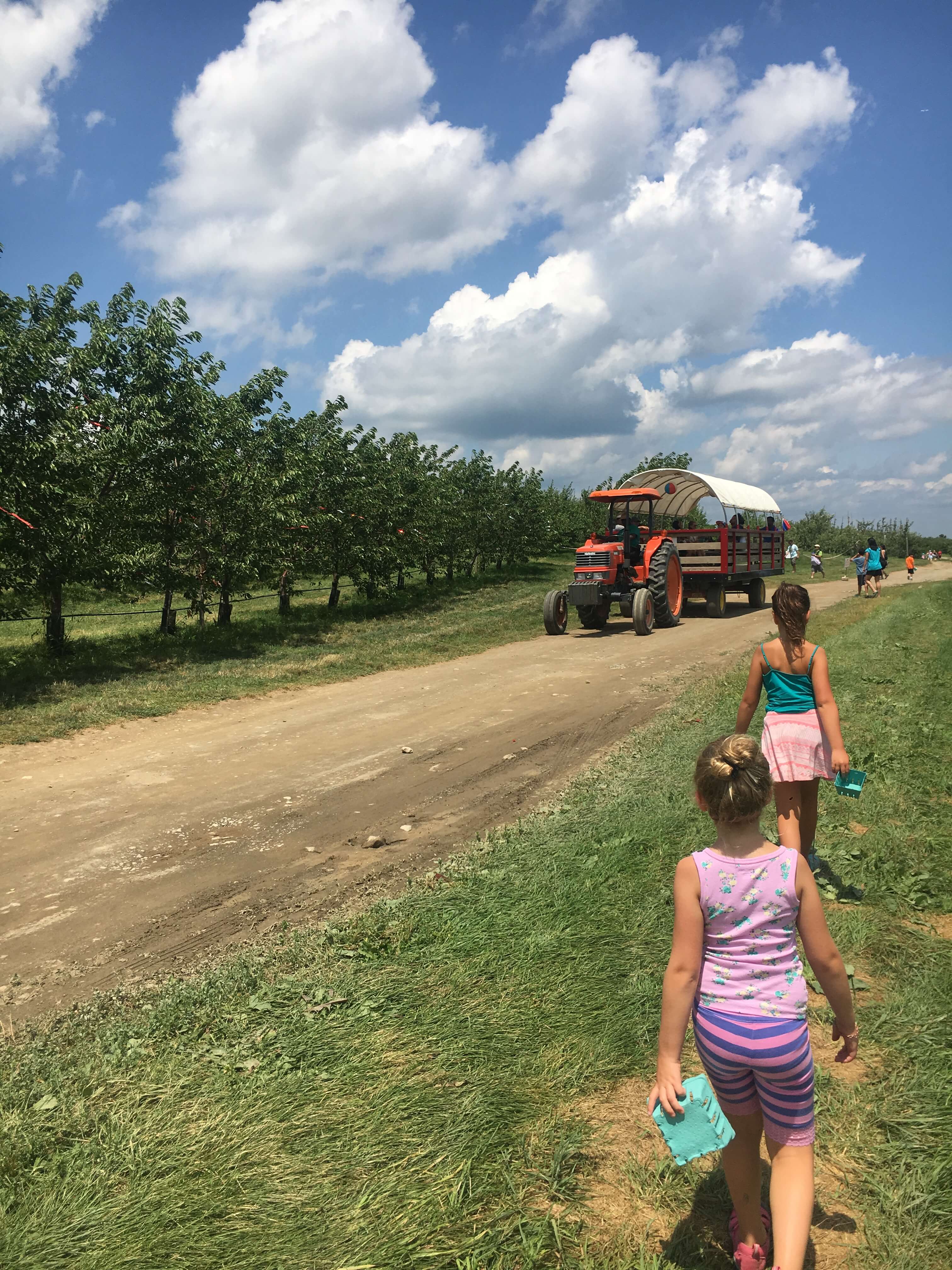 Fishkill Farms Berry Picking For Families In The Hudson Valley