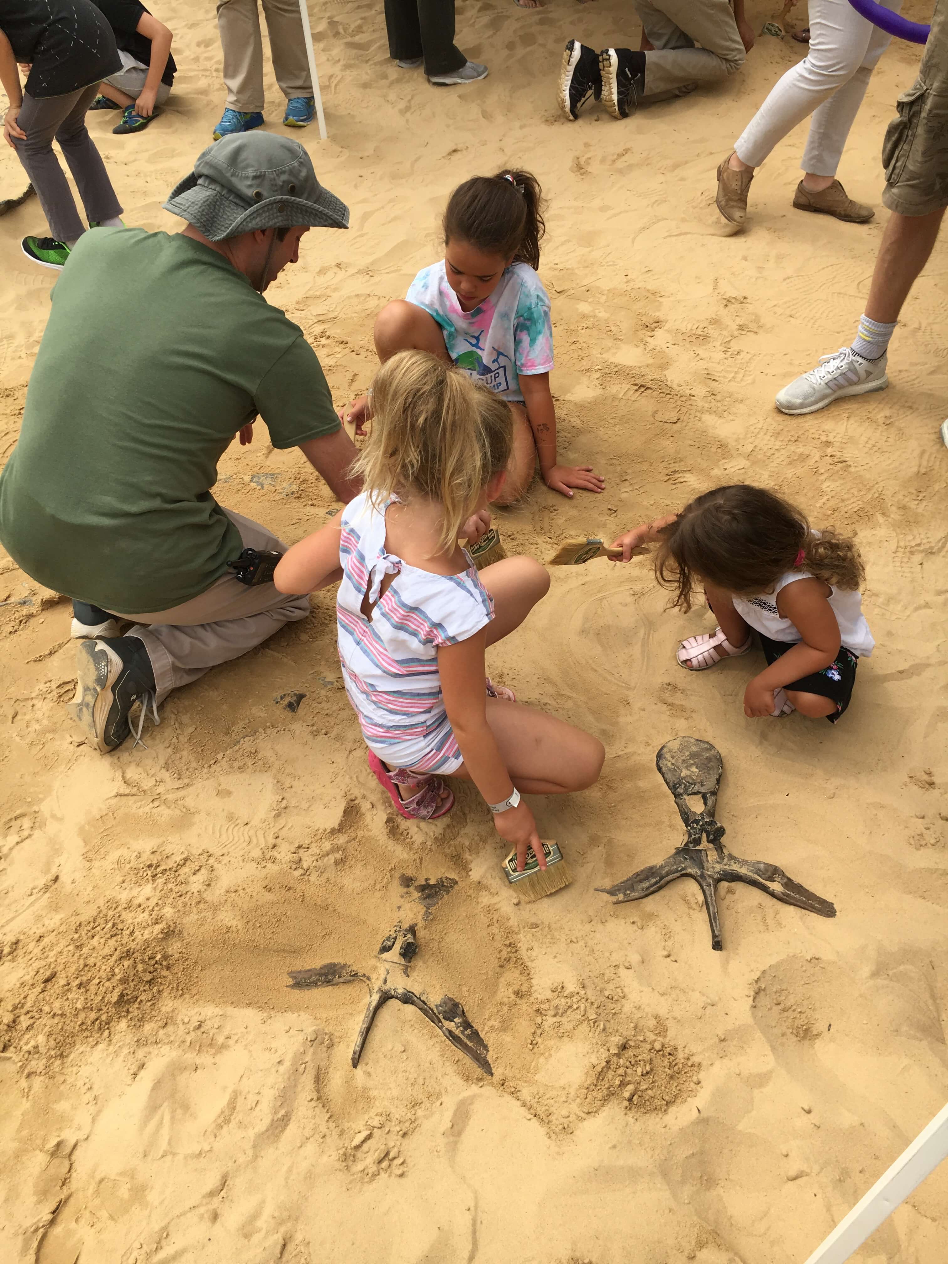 dino dig liberty science center