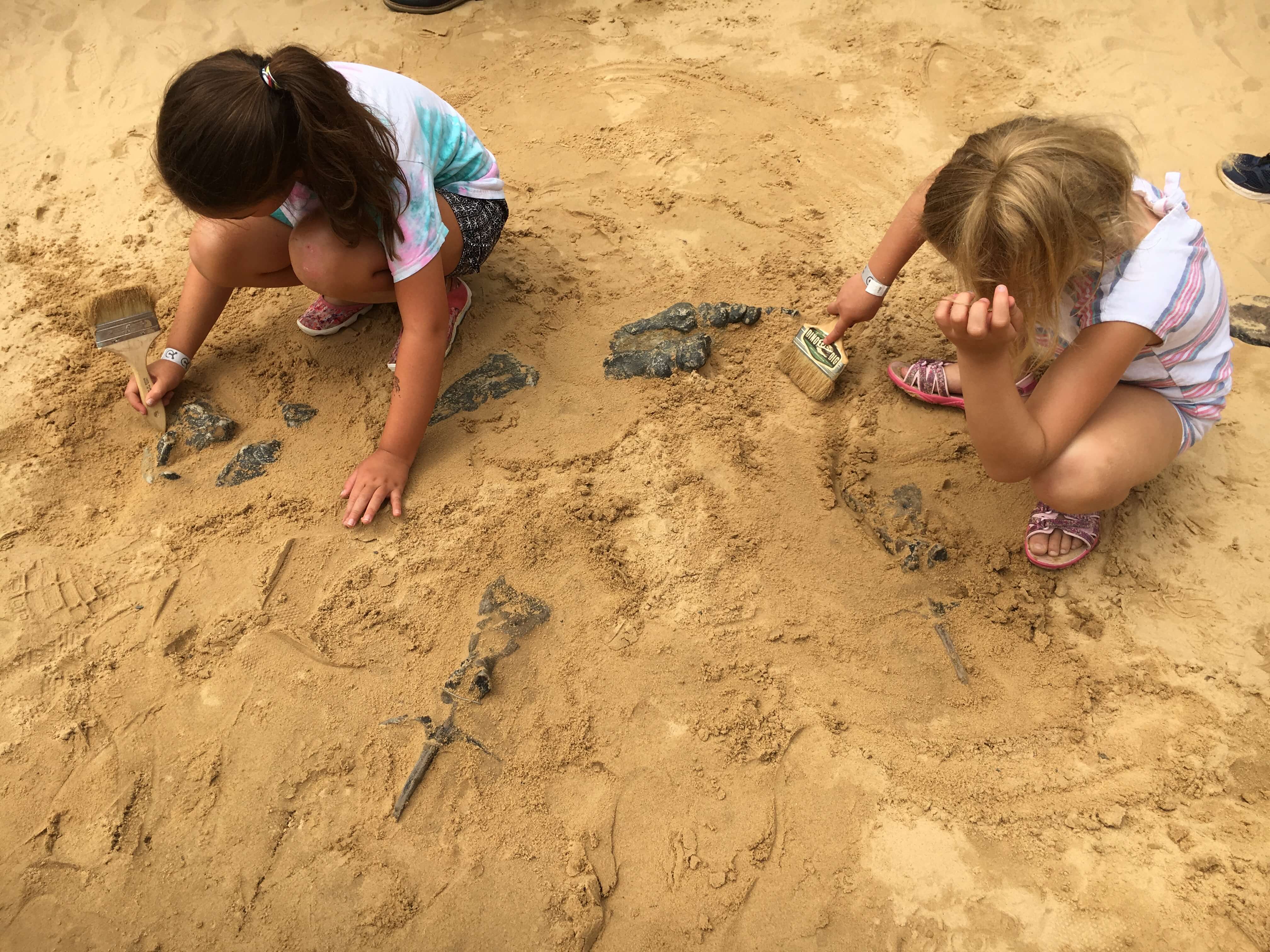 dino dig liberty science center