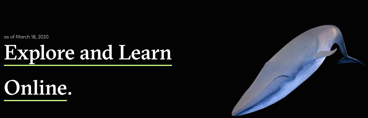 5 Online Resources from the American Museum of Natural History