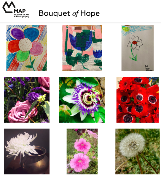 Help Build Bouquet of Hope: The Worlds Largest Bouquet of Flowers with MAP