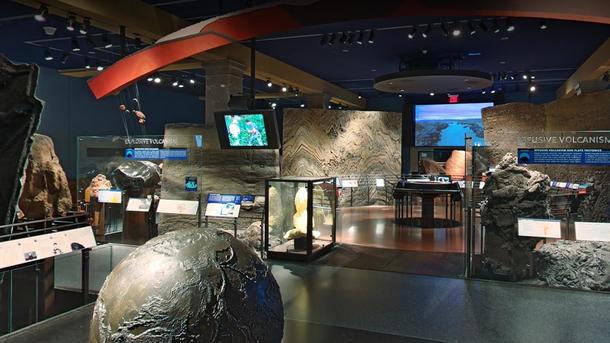 AMNH Launches New Virtual Field Trips for Online Learning