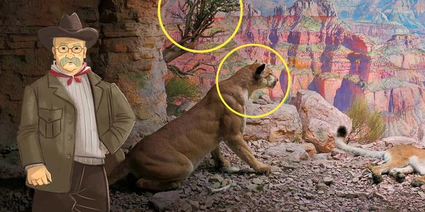 AMNH Launches New Virtual Field Trips for Online Learning