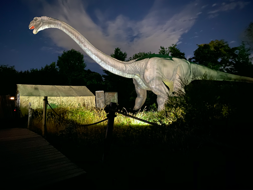 Celebrate International Dinosaur Day with Field Station Dinosaurs