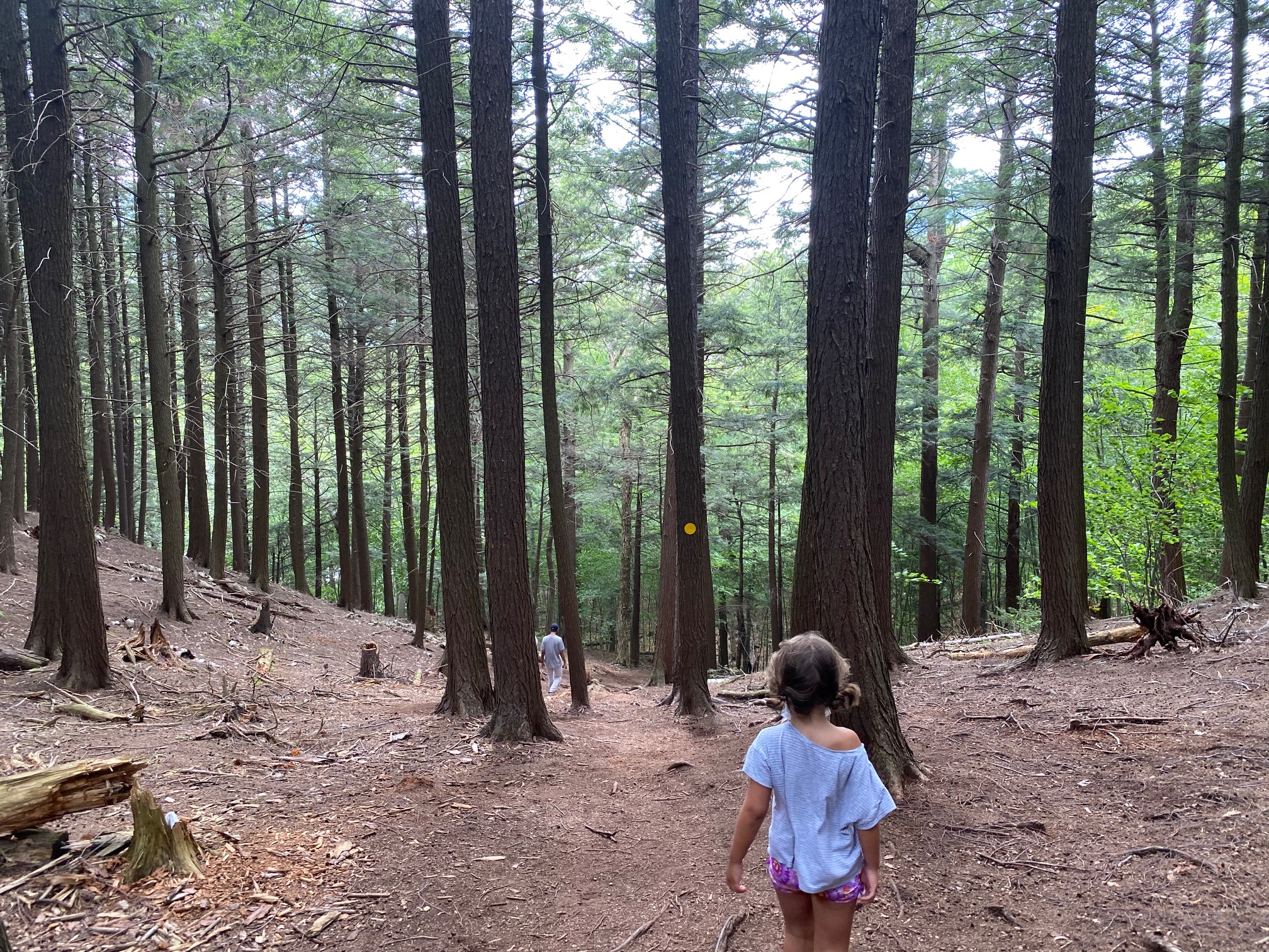 High Falls Gorge nature trail