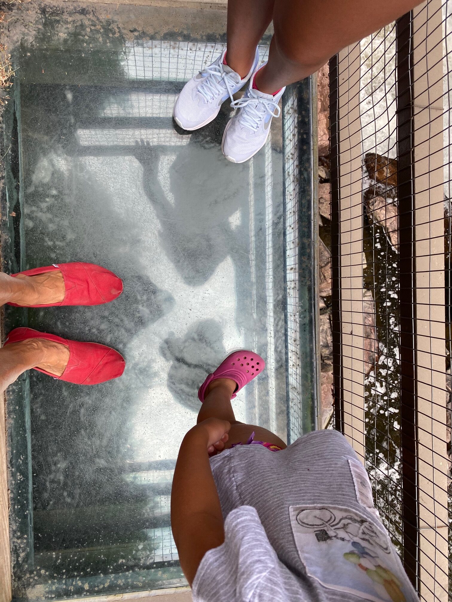 lookout points at high falls gorge