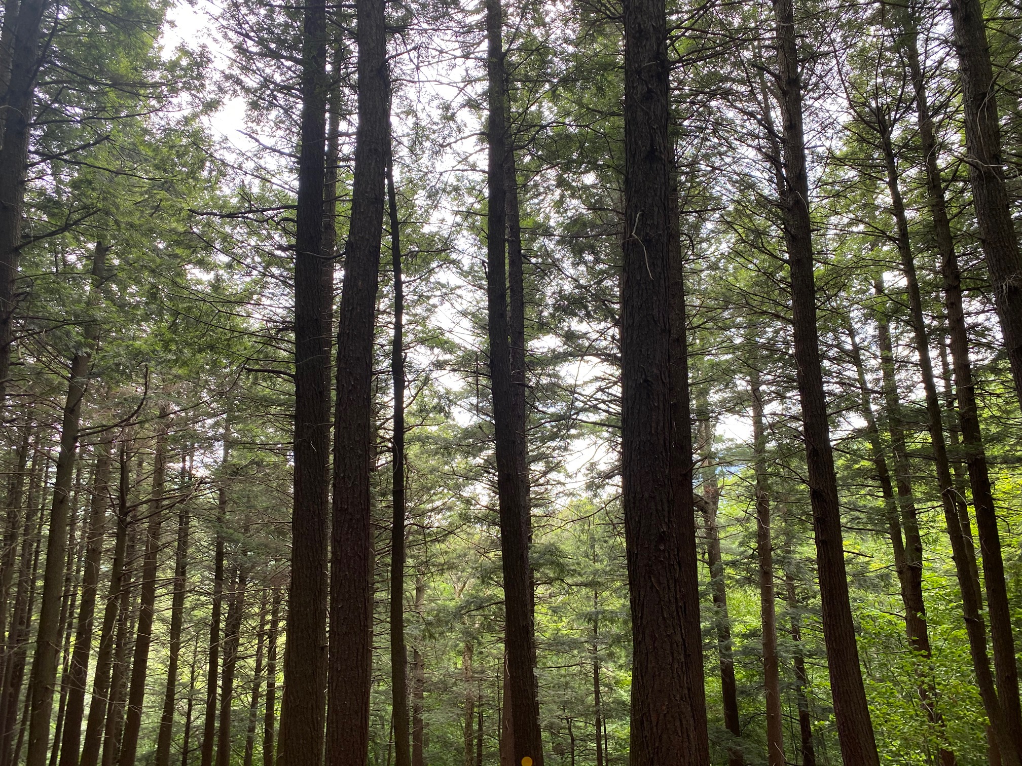 high falls day trip walk