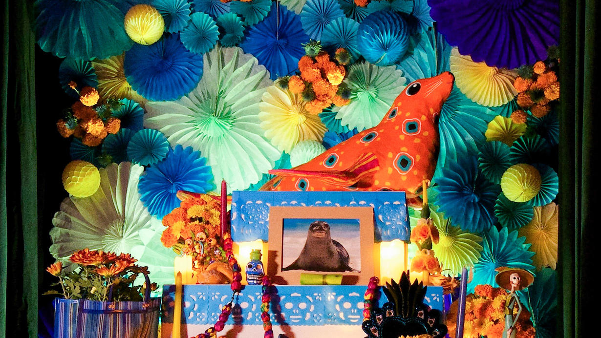 Online Halloween Programming from American Museum of Natural History