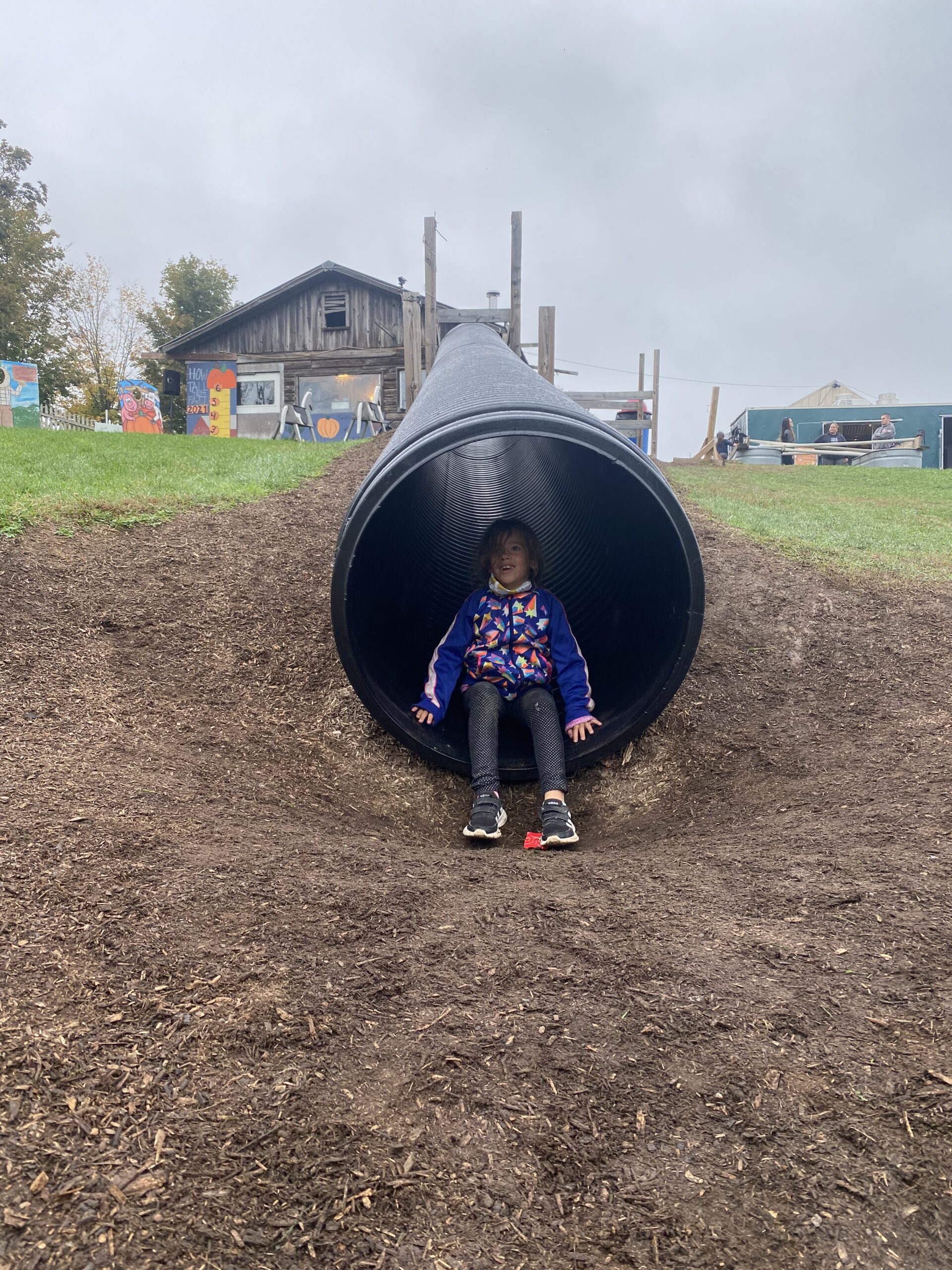 Wright Family Farm fun